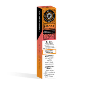 Orange Mango Guava ENVI Boost – Disposable Vape