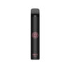 Strawberry Kiwi Banana Iced Envi Nano Disposable Vape