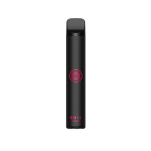 Raspberry Mango Peach Iced Envi Nano – Disposable Vape