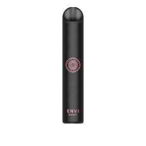 Strawberry Kiwi Banana Iced Envi Boost – Disposable Vape