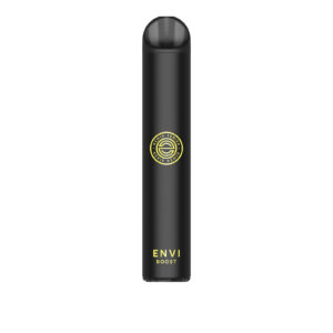 Pineapple Coconut Lime Iced Envi Boost – Disposable Vape