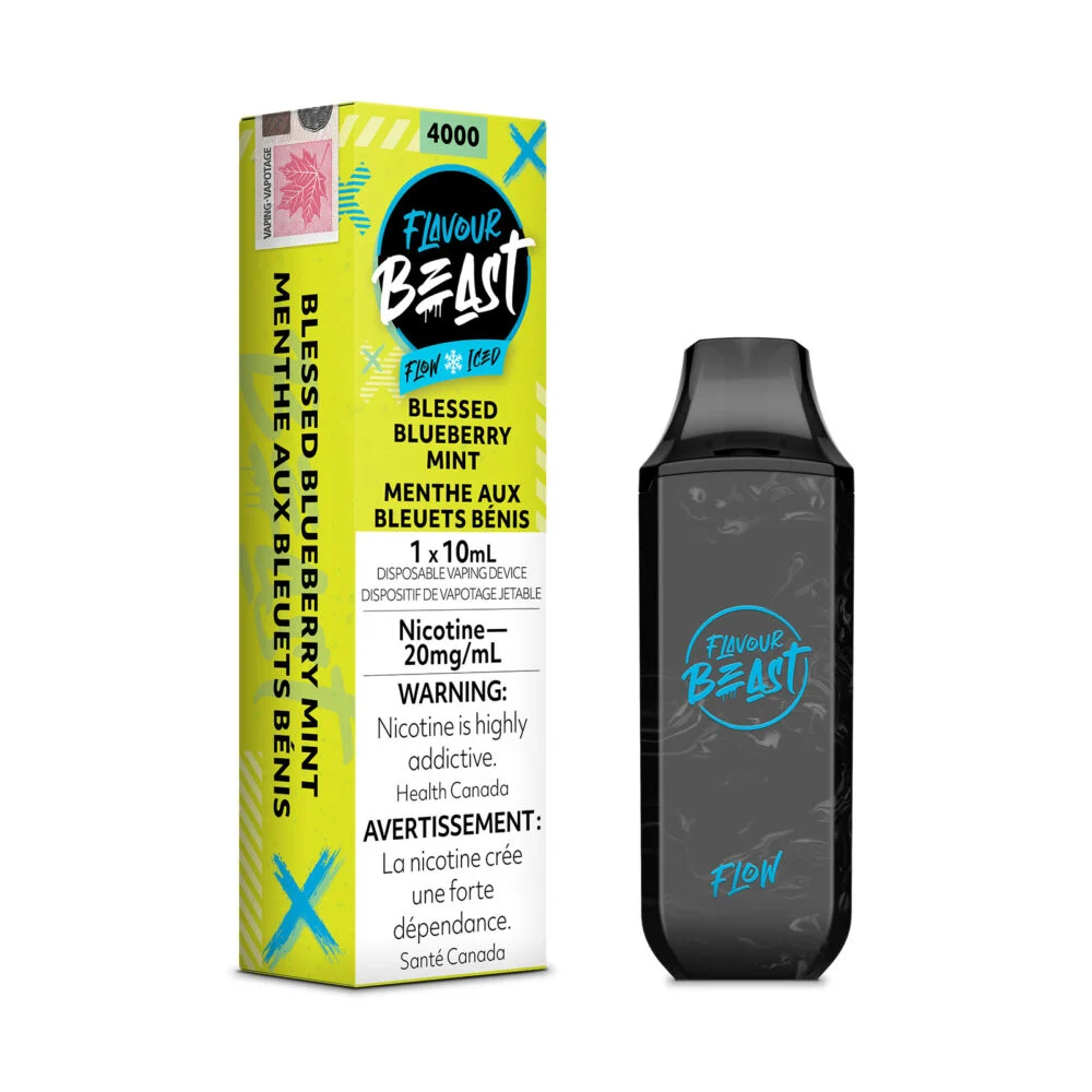 Blessed Blueberry Mint Iced Flavour Beast Flow Disposable Vape