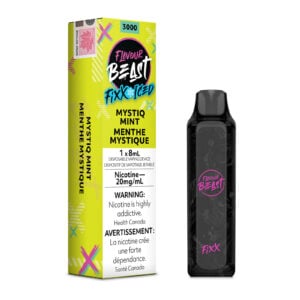 Mystiq Mint Iced Flavour Beast Fixx – Disposable Vape