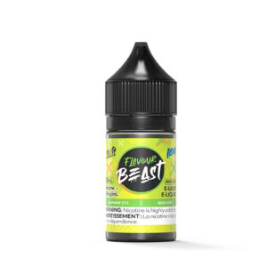 Slammin STS Iced SALT – Flavour Beast Salt E-Liquid