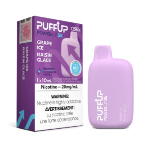 Grape Ice PuffUp – Disposable Vape