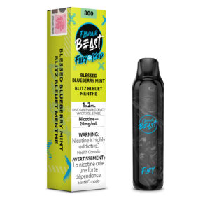 Blessed Blueberry Mint Iced Flavour Beast Fury – Disposable Vape