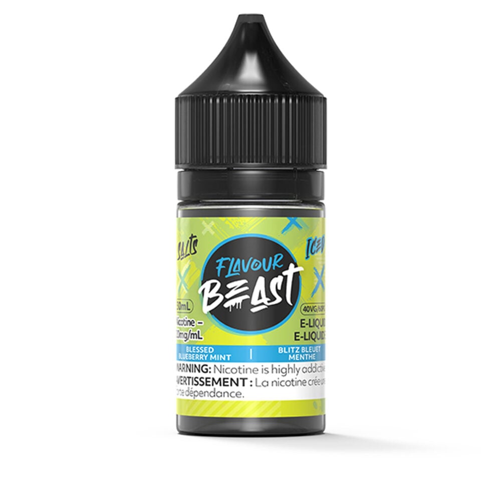 Blessed Blueberry Mint Iced SALT Flavour Beast Salt E-Liquid