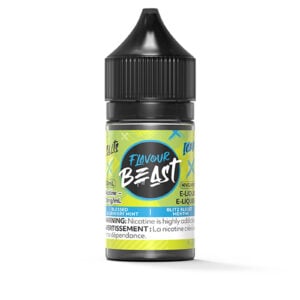 Blessed Blueberry Mint Iced SALT – Flavour Beast Salt E-Liquid