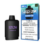 Blueberry Kiwi STLTH Loop 25K Pod