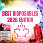 Best Disposable Vapes in Canada 2026